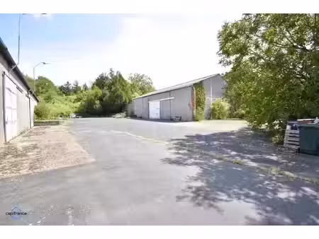 local professionnel à vendre noyers sur cher 9 pièce(s) 1219m2 283 500€