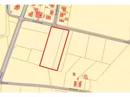 terrain agricole à vendre à dennenstraat peer (rbw79590)