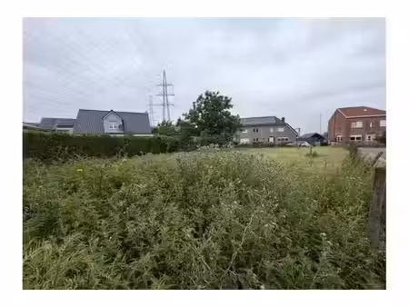 terrain à vendre à ringlaan 34 asse (rbw80198)