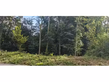 terrain à bâtir à vendre à beukenlaan 47 dworp (rwc43367)