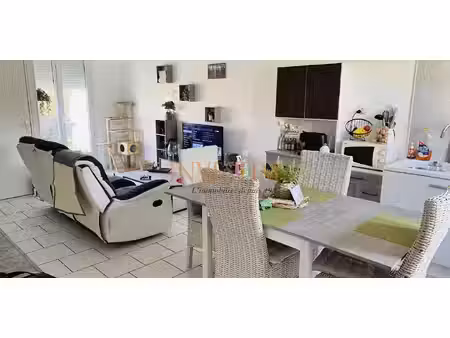 propriété avec jardin vineuil (41)