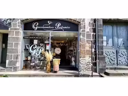 vente locaux professionnels 2 pièces 95 m² à riom (63200)  55 000 €