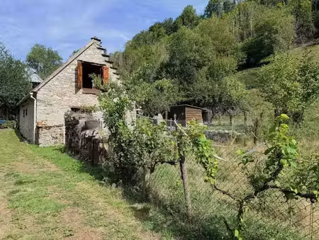 bergerie de montagne habitable – vallon préservé  ruisseau et vue forêt