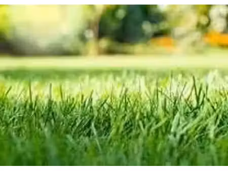 terrain constructible 601m²  viabilisé
