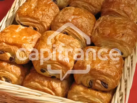 vente locaux professionnels 3 pièces 70 m² à collonges-sous-salève (74160)  1 200 000 €