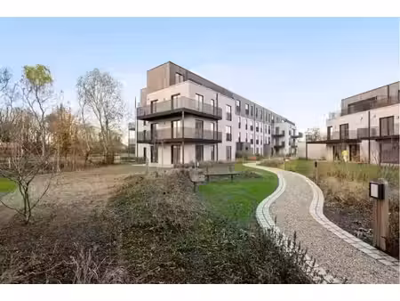 appartement à vendre à kapmes 8 lier (rbw79920)
