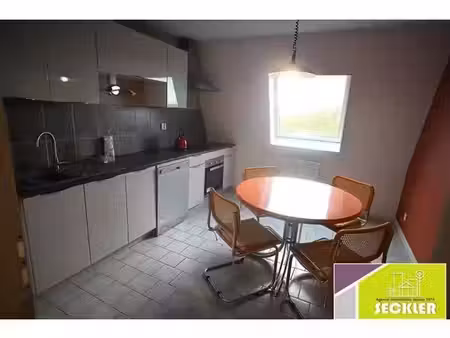 location appartement 2 pièces 53 m² à colmar (68000)  695 €