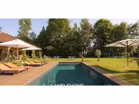 maison contemporaine avec piscine et jardin montrevel-en-bresse (01)