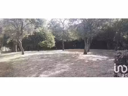 terrain à tenteling (57980)