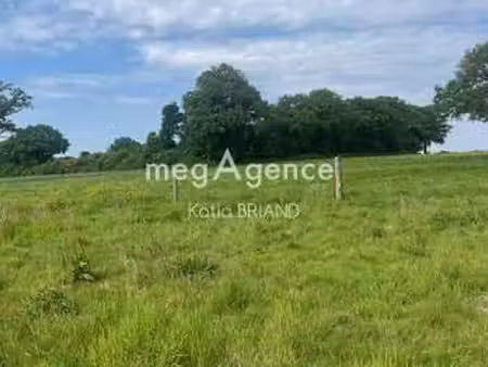 vente terrain à saint-berthevin (53940) : à vendre / 31800m² saint-berthevin