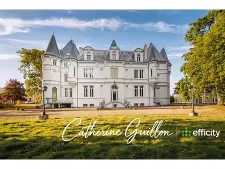 château à vendre à ingrandes