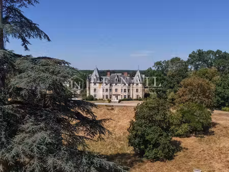 château à vendre à meslay-du-maine