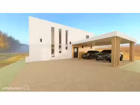 terrain
