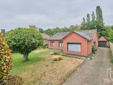 maison à vendre à neerpelt € 332.500 (lrgi9) - pelter makelaardij | zimmo