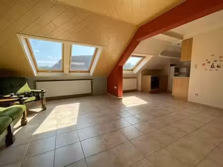 appartement 1 chambre en plein centre.