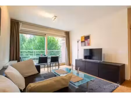 lumineux - bel app. 2 chambres et 2 terrasses