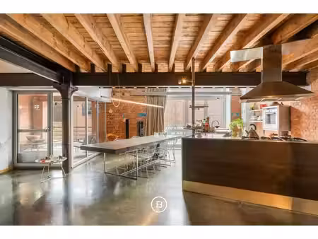 un rare duplex loft