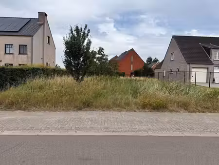 terrain