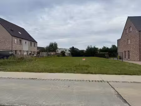 terrain