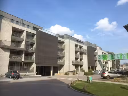 appartement à louer à overpelt € 850 (lm5iy) - immo eibo | zimmo