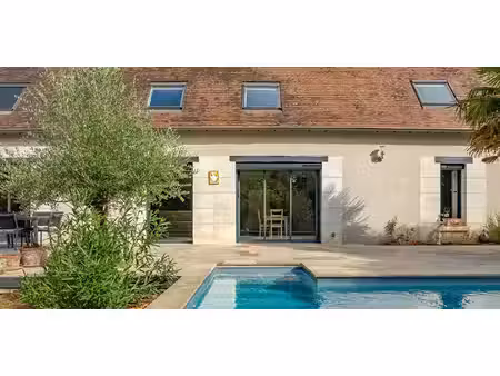 maison avec piscine et jardin cheillé (37)
