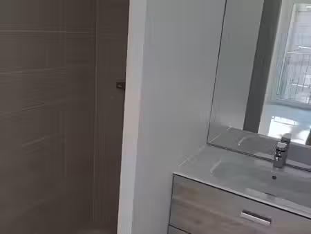 location appartement 4 pièces 80 m² à villeurbanne (69100)