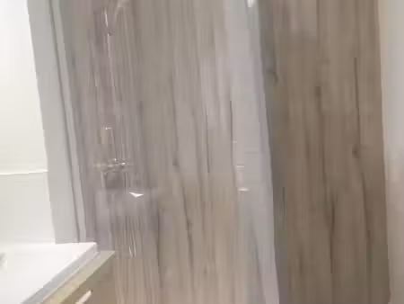 location appartement 1 pièce 11 m² à lyon 7 (69007)