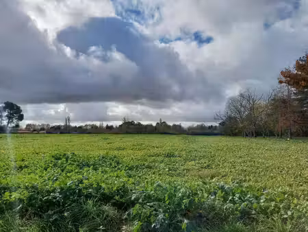 terrain constructible viabilisé à vendre