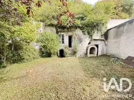 vente maison à noizay (37210) : à vendre / 42m² noizay