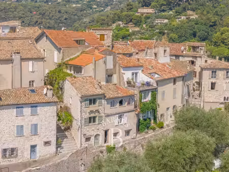maison de luxe à vendre à saint-paul