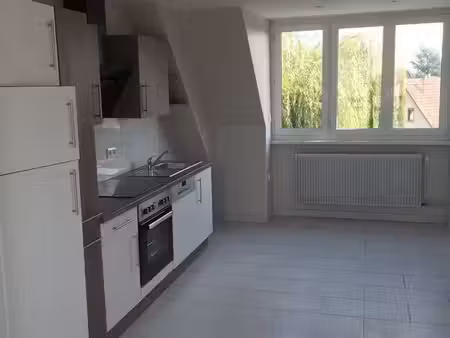 bel appartement 2 pièces de 50 m2 rénové à erstein dans un quartier calme  proche toutes c
