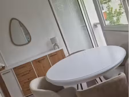 très beau appartement t2 lumineux d’environ 45m2 à louer non meublés
