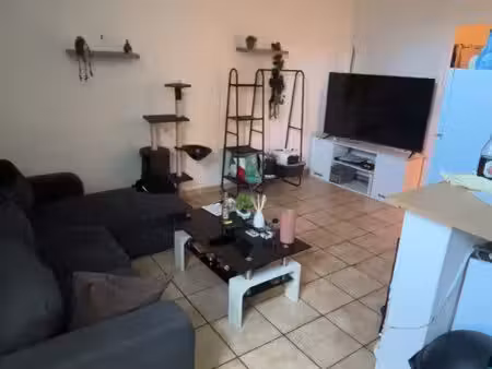 appartement t3 rez de chaussée