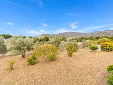 stg immobilier
