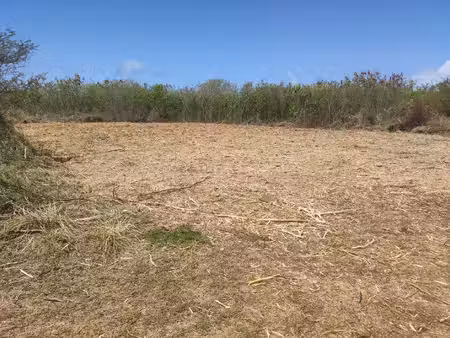 terrain constructible à vendre