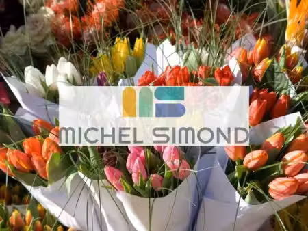 michel simond aix marseille