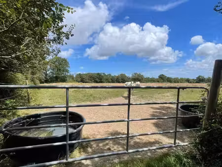 ferme équestre à vendre