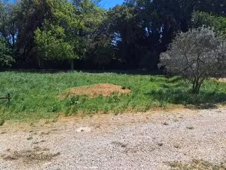 terrain constructible viabilisé à vendre