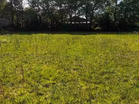 terrain constructible à vendre