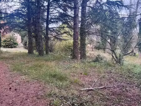 terrain constructible à vendre