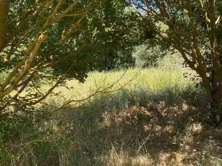 terrain constructible à vendre