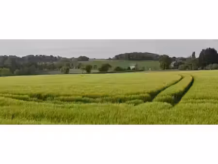 trecobois dinan