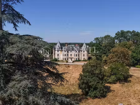 château à vendre