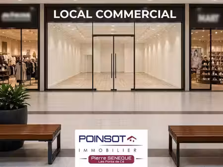 poinsot immobilier