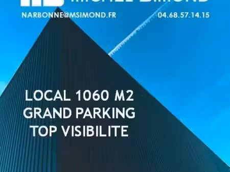 michel simond narbonne