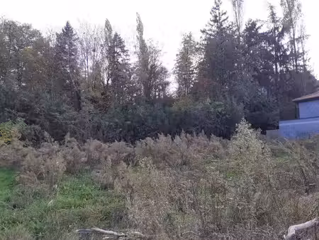 terrain constructible viabilisé à vendre