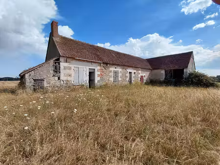 nestenn loches