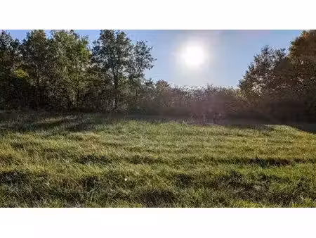 terrain constructible viabilisé à vendre