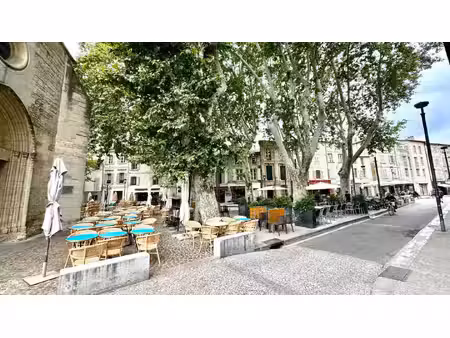 olivier palayer immobilier