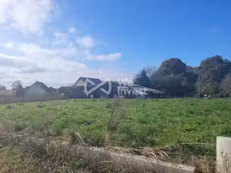 we invest